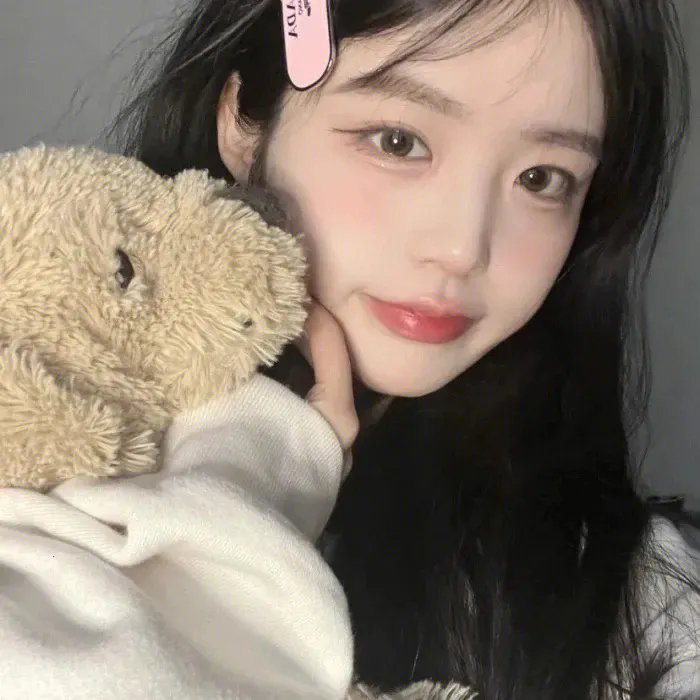 复仇狗联盟 封面
